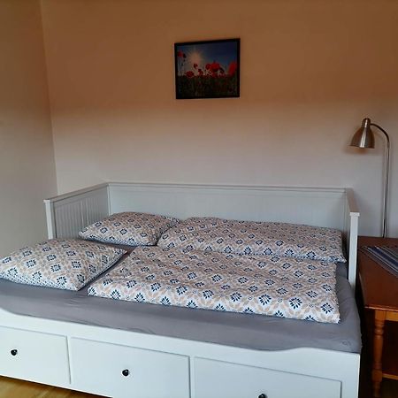 Appartement Et Terrasse Privee Ingolsheim المظهر الخارجي الصورة