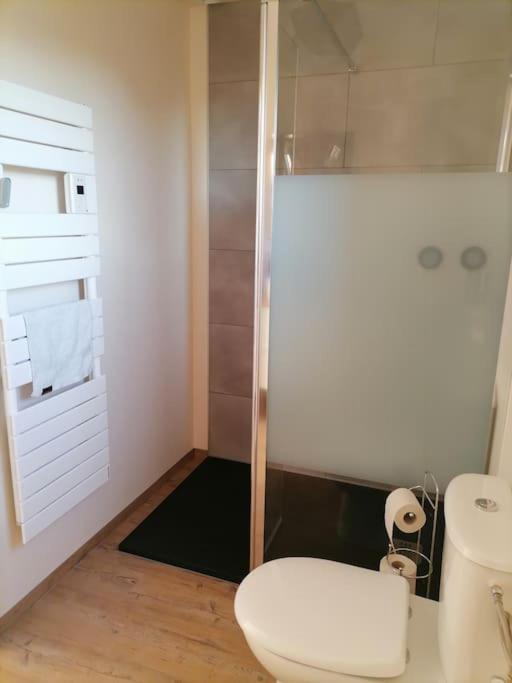 Appartement Et Terrasse Privee Ingolsheim المظهر الخارجي الصورة