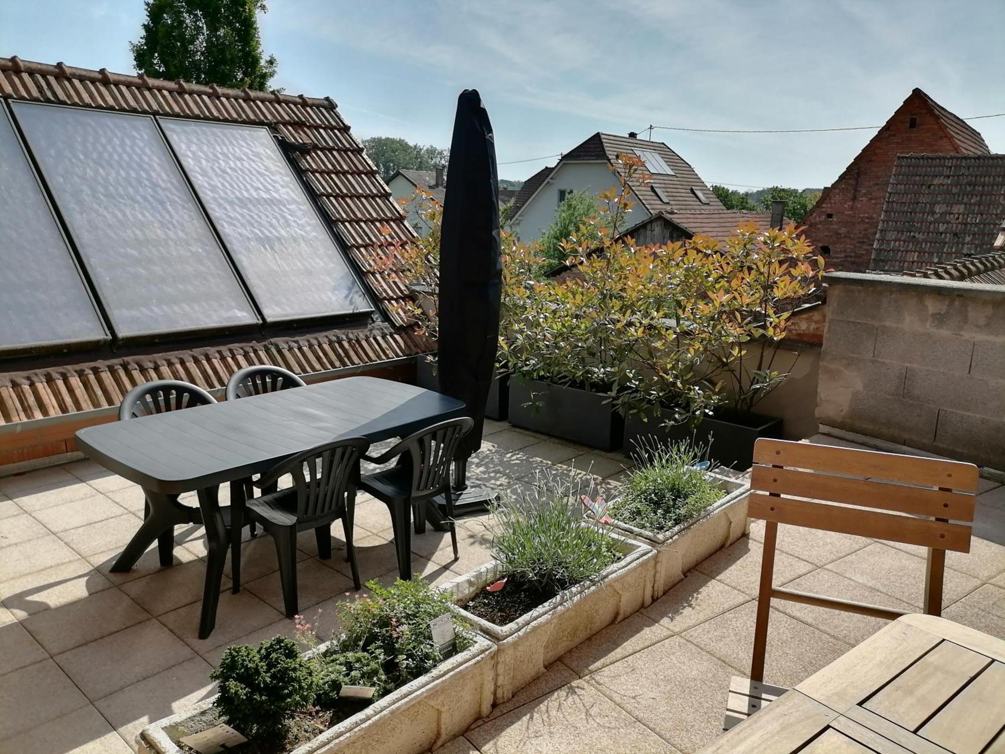 Appartement Et Terrasse Privee Ingolsheim المظهر الخارجي الصورة