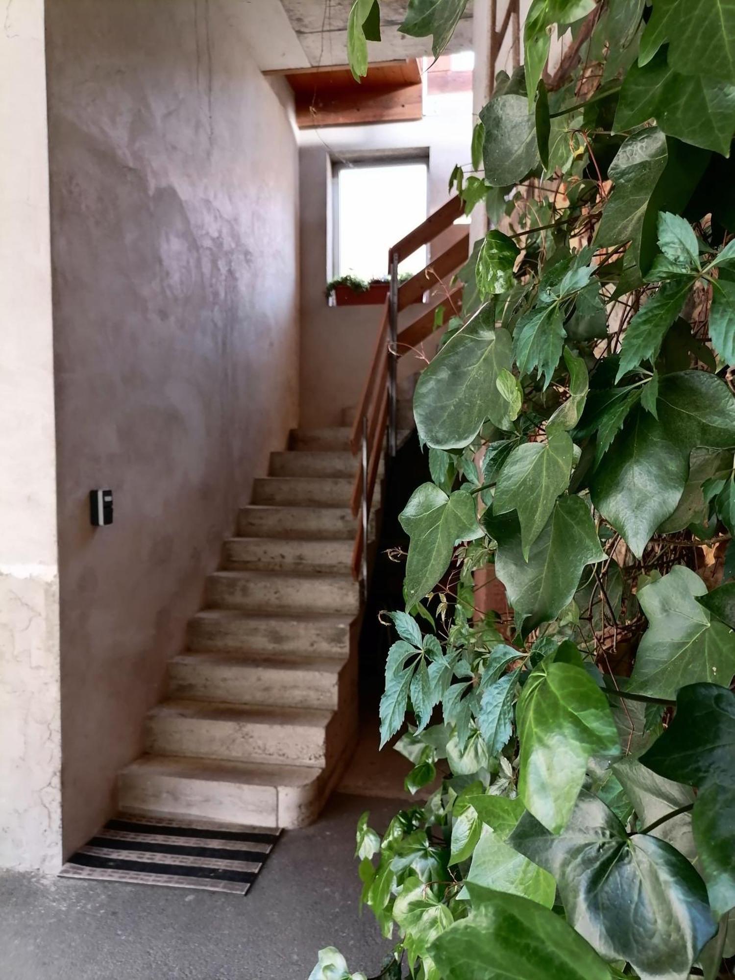 Appartement Et Terrasse Privee Ingolsheim المظهر الخارجي الصورة